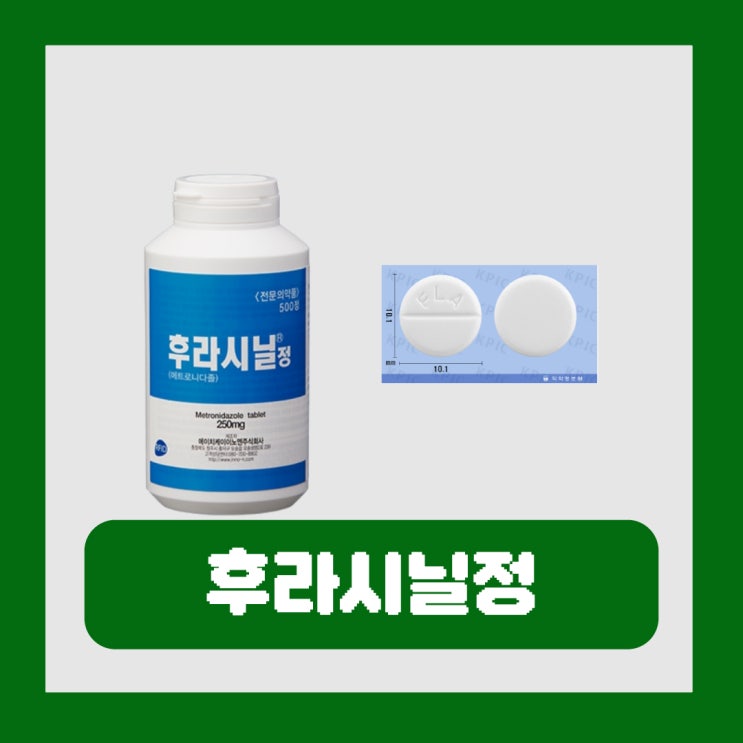  후라시닐정 칸디다 질염 가드넬라 방광염 항생제 부작용