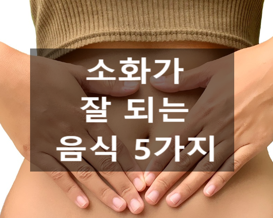  이것만 알면 끝! 소화가 잘 되는 음식 5가지를 알아볼까요?