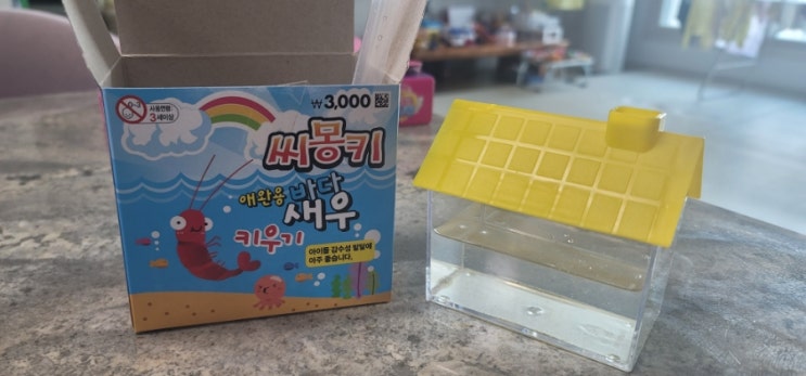  [다이소] 씨몽키 애완용 바다새우 키우기