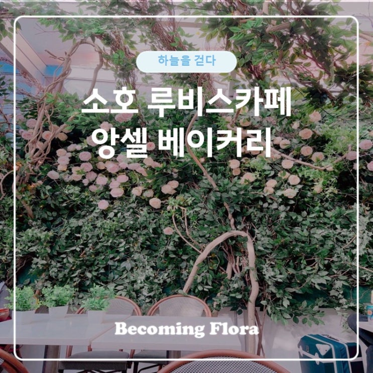  소호 루비스 카페  앙셀 베이커리 디저트