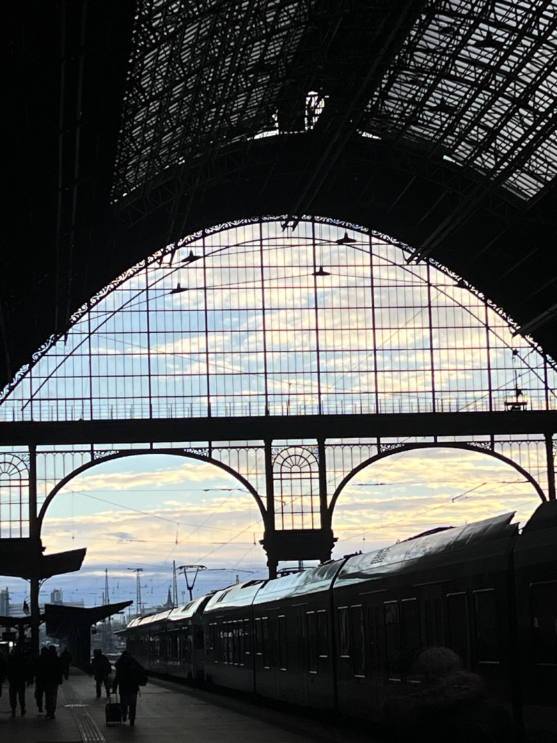 부다페스트 켈레티역에서 비엔나 중앙역으로] 켈레티역 화장실 / 캐리어 보관 + 비엔나 중앙역 코인락커 있어요 : 네이버 블로그