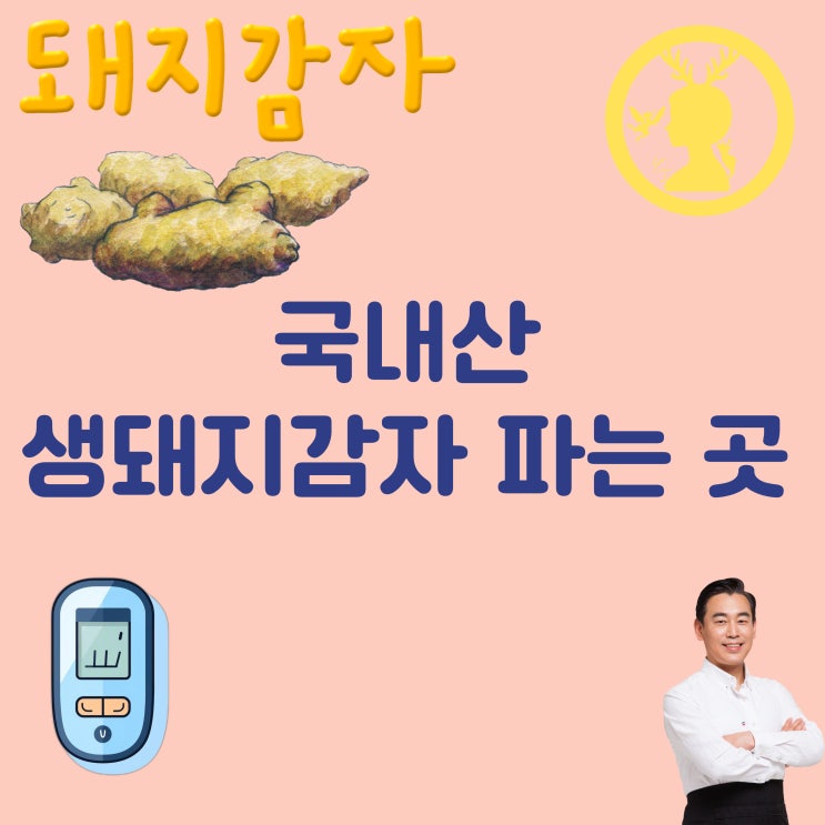 생돼지감자 자색돼지감자 효능 돼지감자 차 파는곳 당뇨 이눌린