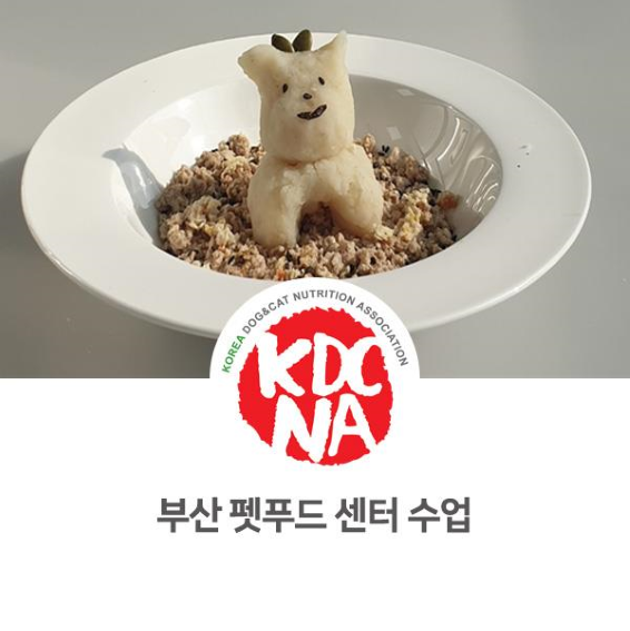  NO.1078 부산 사하여성인력개발센터 반려동물영양간식전문가 펫푸드 자격증 수업