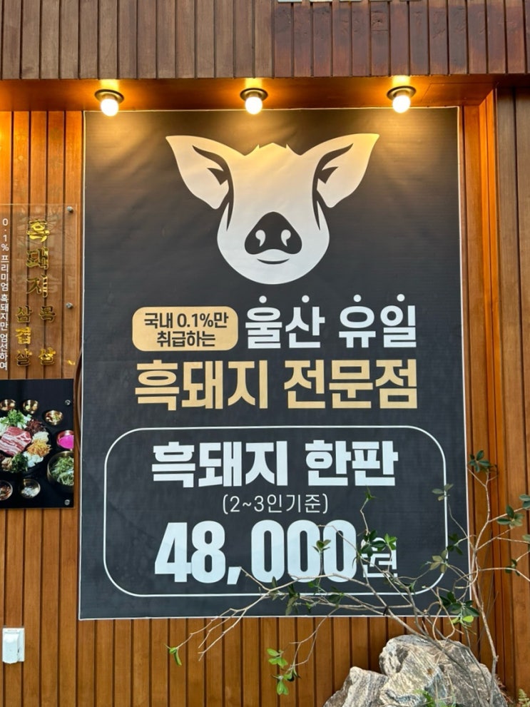  [울산맛집|울산삼산동맛집]프리미엄 흑돼지 전문 고급스런 삼산동고기집 삼산고기