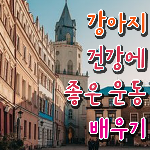  반려견운동지도사 자격증 1급 시험 궁금증 해결 ?!