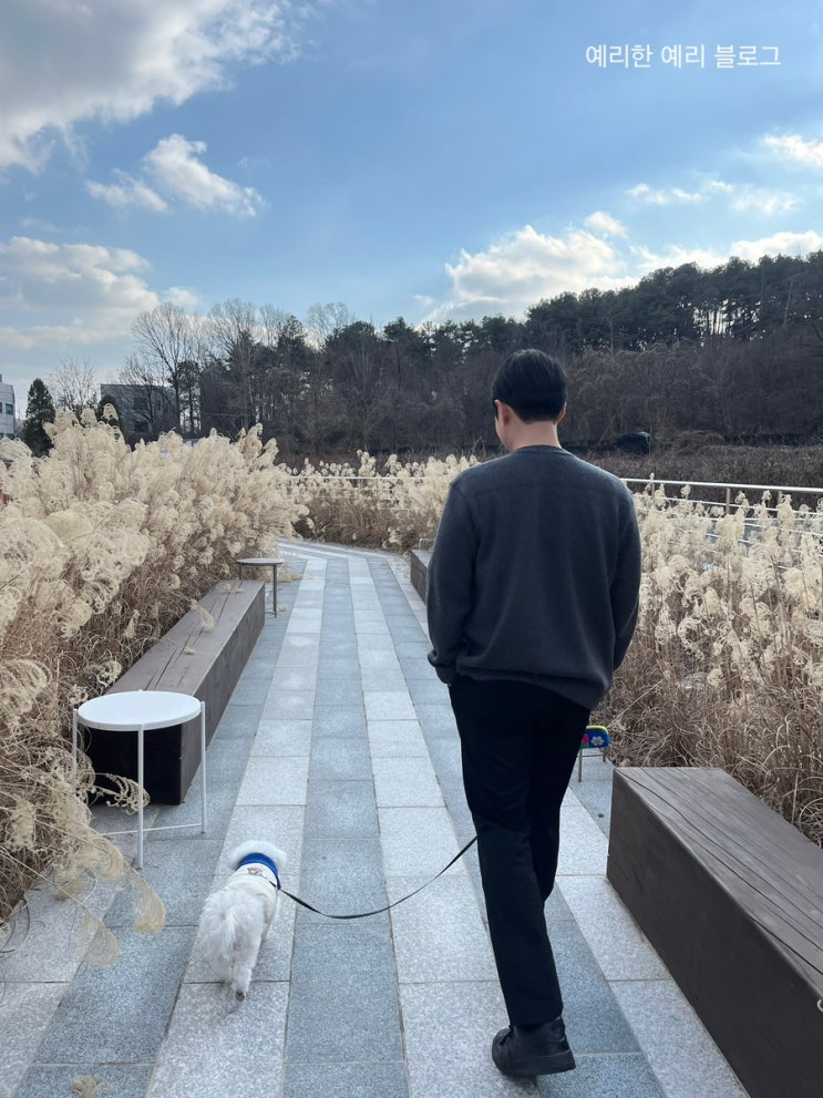  분당 서클,circle: 갈대 정원에서 브런치 먹는 애견동반 분당 대형 브런치카페 + 4줄 리뷰