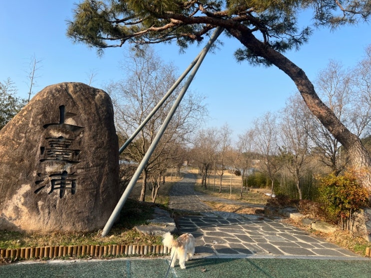  영암가볼만한곳 강아지 반려견과 산책과 피크닉하기좋은 상대포역사공원