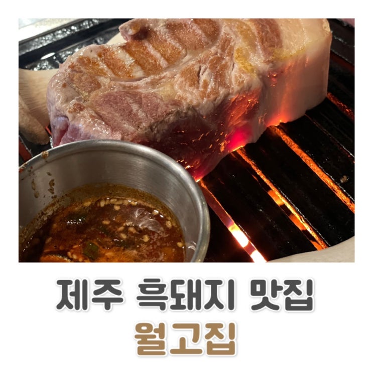  [제주] 제주 동쪽 흑돼지 맛집/ 월고집 