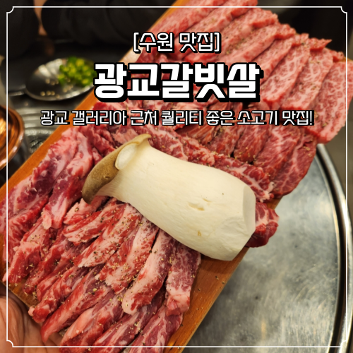  광교 고깃집 한잔하기 좋은 소고기 맛집 광교갈빗살