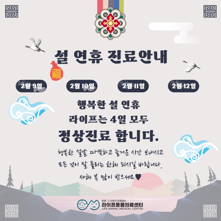 대구24시동물병원 대구설연휴동물병원 : 24시라이프동물의료센터 설 연휴 정상 진료 안내 대구24시동물병원 대구설연휴동물병원 : 24시라이프동물의료센터 설 연휴 정상 진료 안내