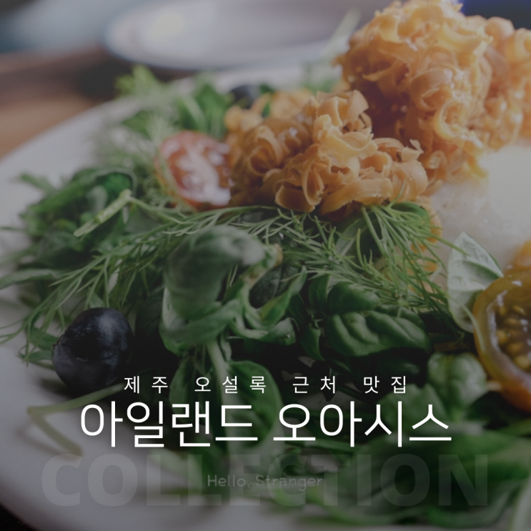  제주 오설록 근처 맛집 저장 필수 아일랜드 오아시스
