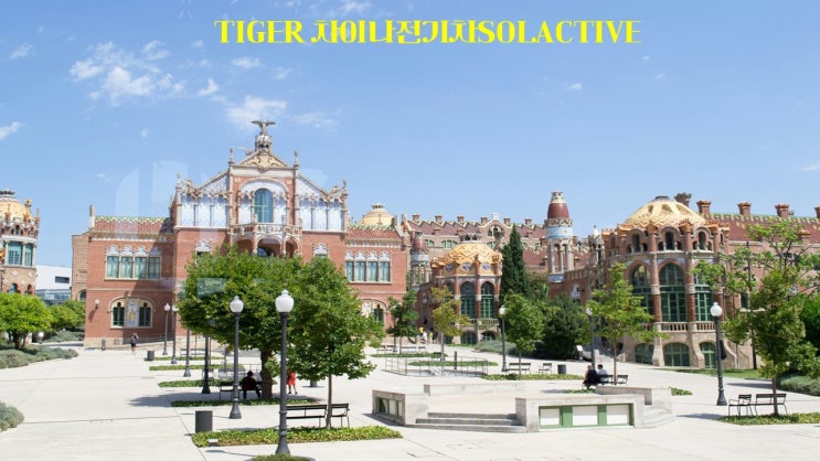  TIGER 차이나전기차SOLACTIVE/371460