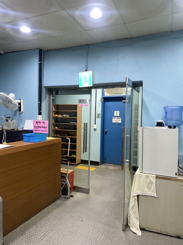  원데이클래스 | 잠실 종합운동장 고고다이브 프리다이빙 후기