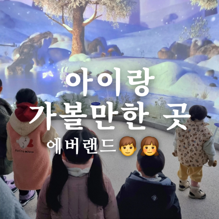  에버랜드 아이와 가볼만한 곳! 나비체험관 슈퍼윙스 애니멀톡 앵무새 공연