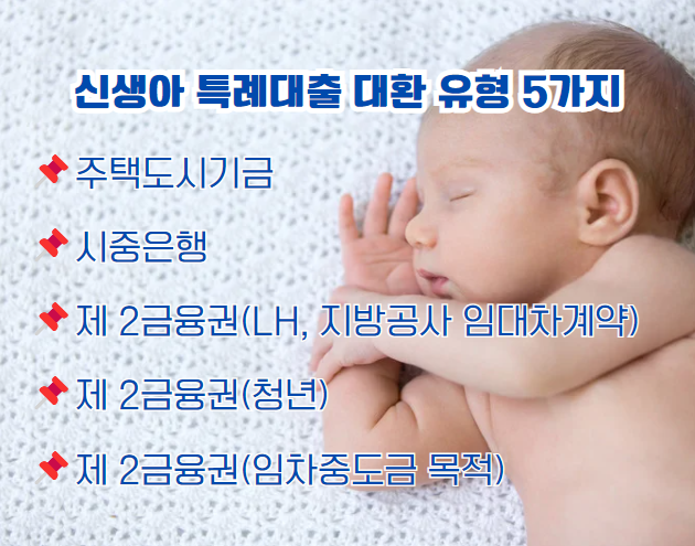 신생아 특례대출 대환 대상, 신청시기(신규, 갱신계약), 한도