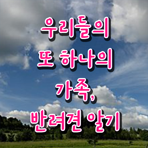  반려동물 관리사 교재 교육 알고 싶은 정보 여기에 !