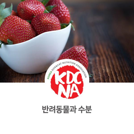  NO.1085 반려동물 수분 섭취의 중요성