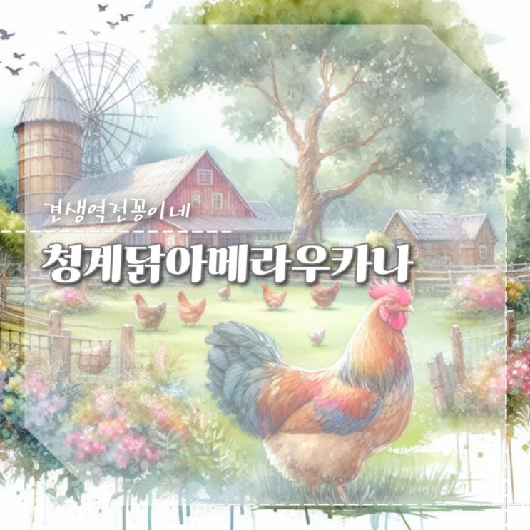  관상닭종류 청계닭 아메라우카나 청계병아리 키우기 방법