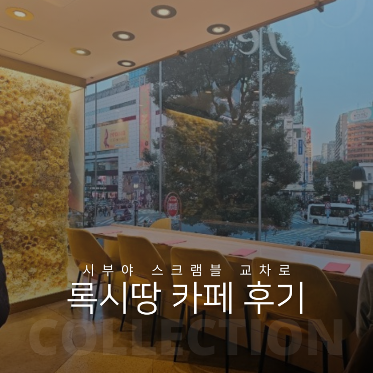  도쿄 시부야 스크램블 교차로 뷰 록시땅 카페 이용 후기