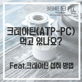 고촌피티 헬스 크레아틴(ATP-PC) 먹고 있나요?