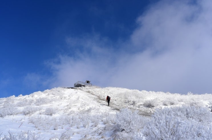 지리산 바래봉 겨울 동화같은 등산코스로의 산행 - 전북 남원 겨울 눈꽃여행으로 가볼만한 곳 지리산 바래봉 겨울 동화같은 등산코스로의 산행 - 전북 남원 겨울 눈꽃여행으로 가볼만한 곳
