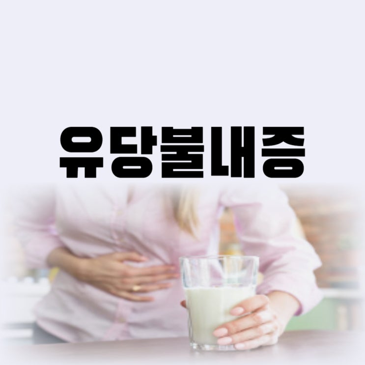  유당불내증 증상 배에 가스 진단받고 우유 대신 두유로 확인하기