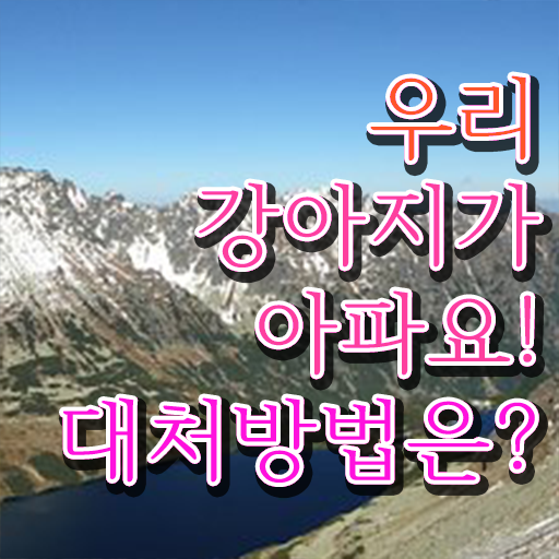  강아지열날때 대처방법 필수 정보 수록 ~