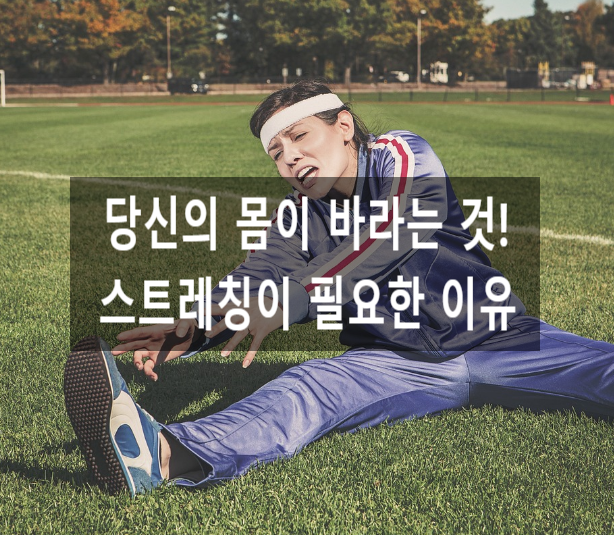  당신의 몸이 바라는 것! 스트레칭이 필요한 이유