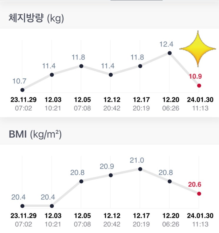 만년 다이어터의 홈트레이닝, 근력 유산소홈트 기록. 핏블리 웨이홈트 새해 챌린지.