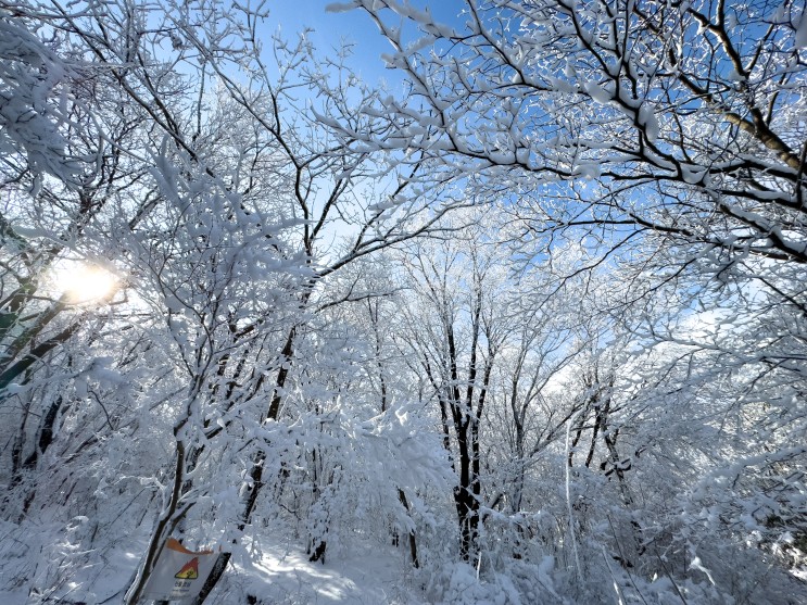 [풍경사진] 무등산에서 본 겨울 왕국