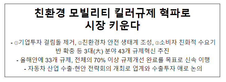 친환경 모빌리티 킬러규제 혁파로 시장 키운다 친환경 모빌리티 킬러규제 혁파로 시장 키운다