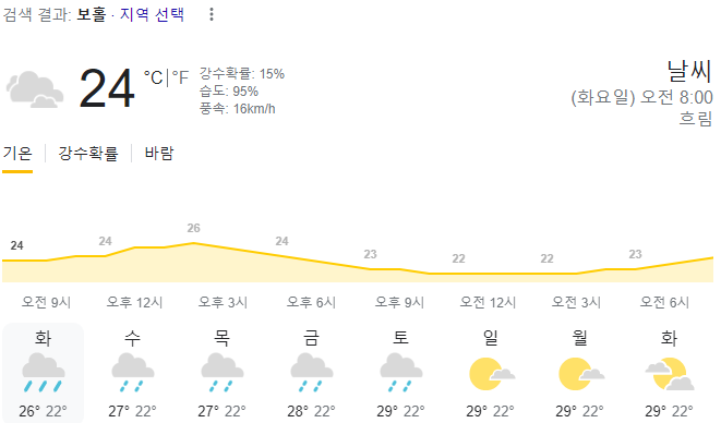  2024년 1월 30일 보홀 날씨 올려드려요