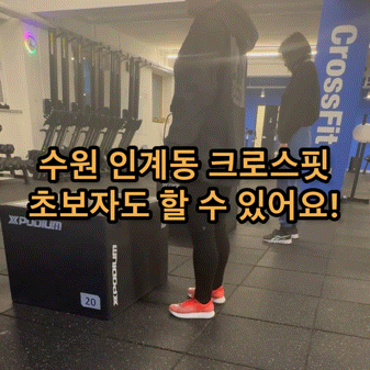  수원 인계동 헬스장 크로스핏 스테이블 2호점! 운동 초보자도 쉽게 배울 수 있어요