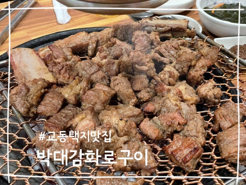 강릉 교동택지맛집 박대감화로구이 구워주는 돼지갈비맛집