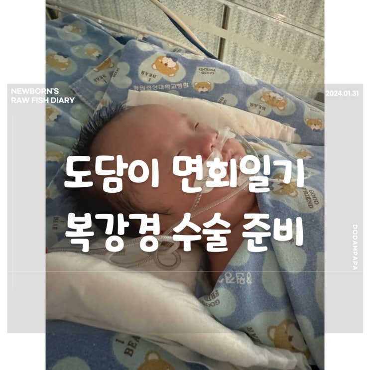 도담이 면회일기 복강경 탈장 수술 준비