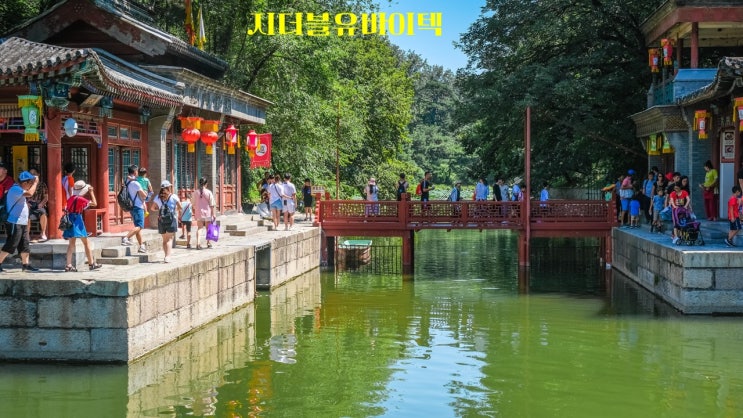  지더블유바이텍