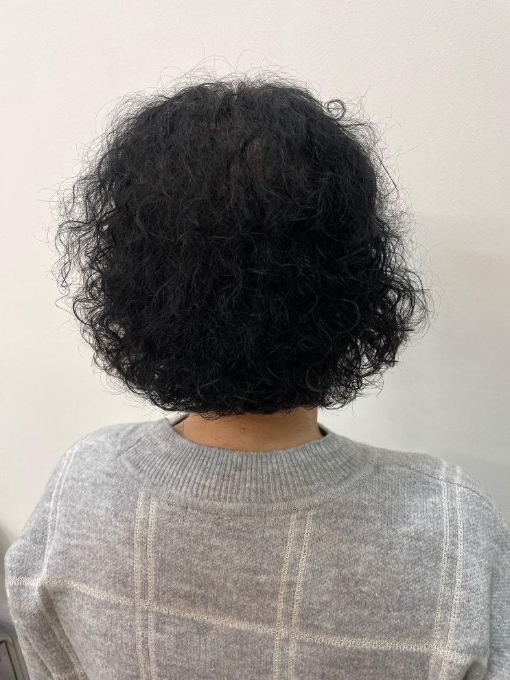 대구 중구 남산동 미용실 '살롱디' :: 단발 히피펌 후기 대구 중구 남산동 미용실 '살롱디' :: 단발 히피펌 후기