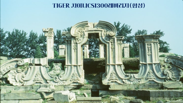  TIGER 차이나CSI300레버리지(합성)/204480