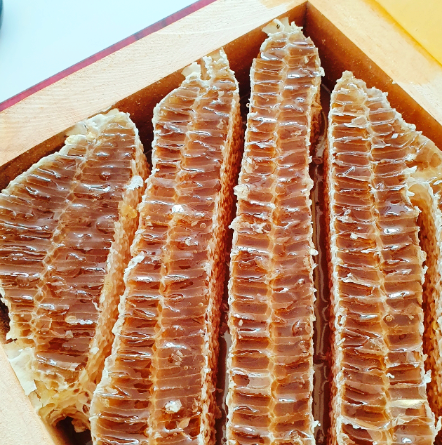 지리산 벌집꿀로 명절선물 후기 지리산 벌집꿀로 명절선물 후기