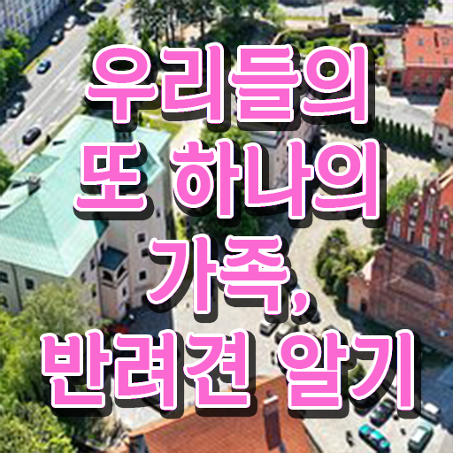  반려동물관리사 시험 전망 정리해봤어요 .
