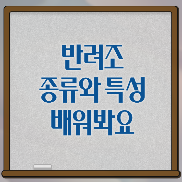  반려조관리사 자격증 취업 알아보기 ? 한국자격검정원