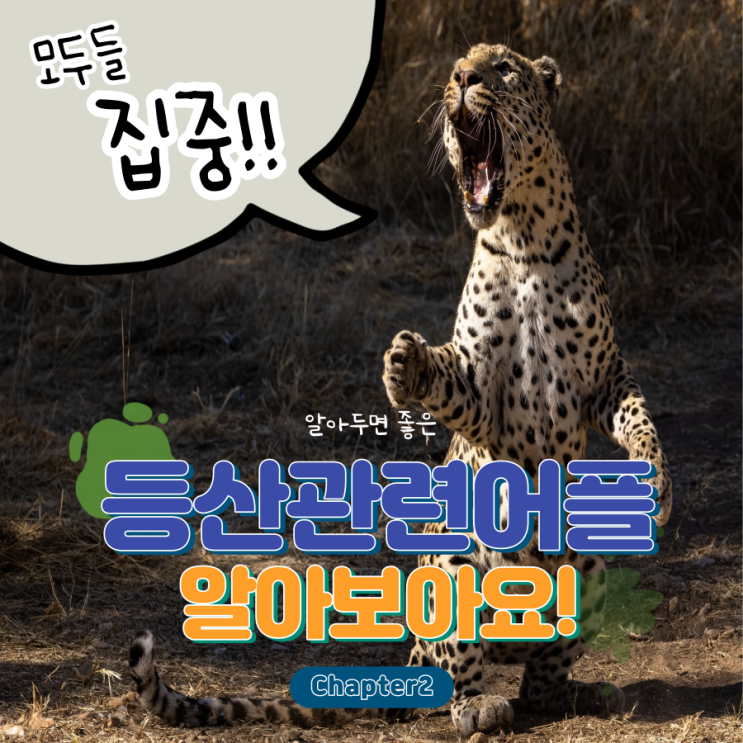 등산앱 추천 날씨 어플 윈디 사용법 등산앱 추천 날씨 어플 윈디 사용법