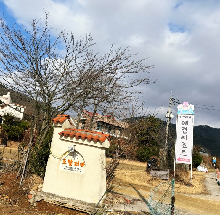  반려견과 함께 특별한 추억여행 로만티카 애견리조트