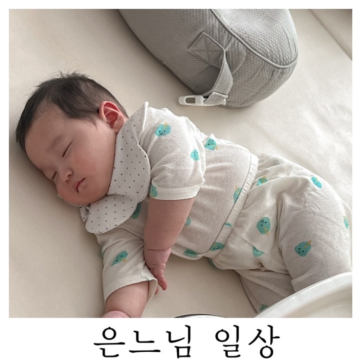  [은느님 일상]점점 늘어나는 구찌헌 장난감