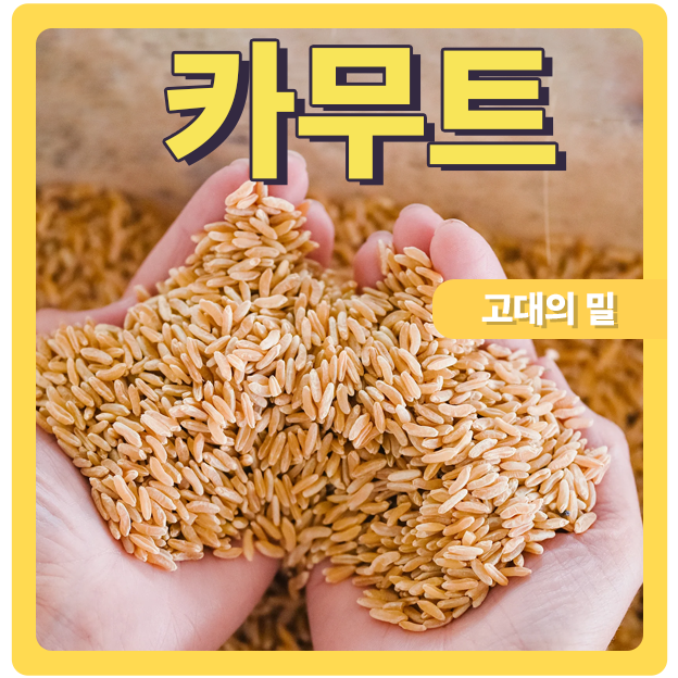  고대의 밀 카무트의 효능
