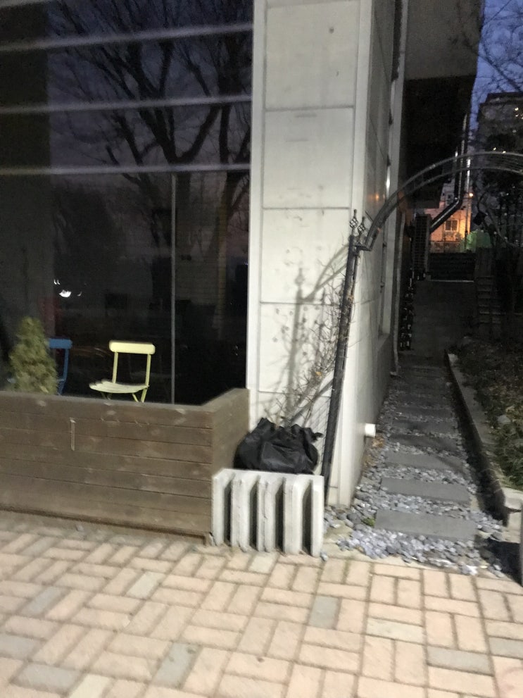  기생충약 제대로 먹기/ 산책하며 본 것들