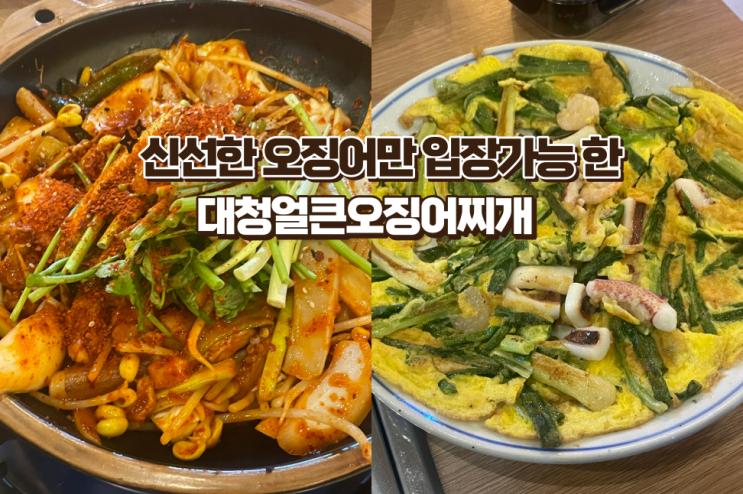 대전 도룡동/신세계맛집 대청얼큰오징어찌개 도룡점 직화오징어불고기