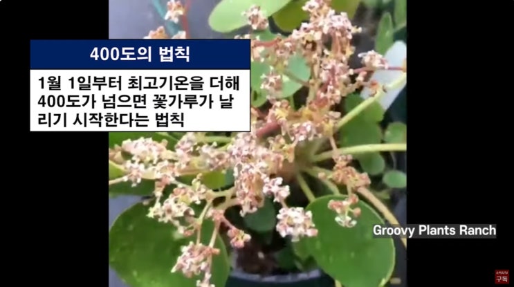 수도권 <b>충청 호남</b> 미세먼지 나쁨! 강원영동 <b>폭설</b> 남부제주 비!... 