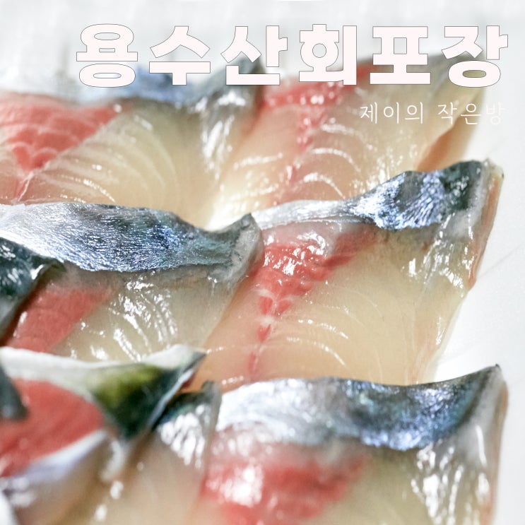  제주 함덕 회포장 고등어회 맛있는 포장전문 횟집