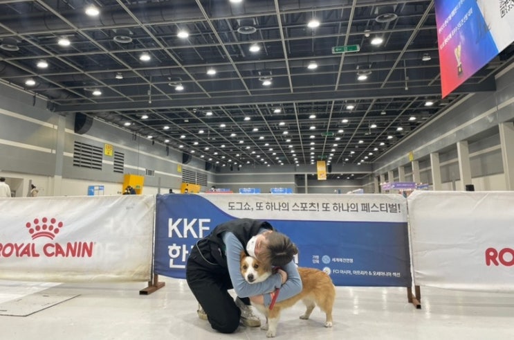  애견훈련사가 되는 법(애견훈련소, 애견유치원)